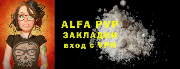 индика Гусь-Хрустальный