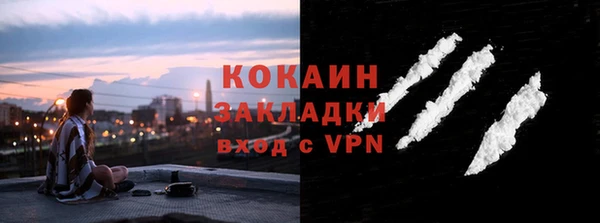 дживик Дмитров