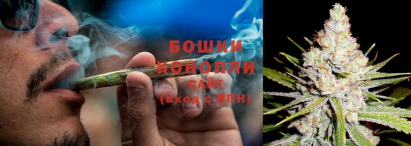 PSILOCYBIN Дмитриев