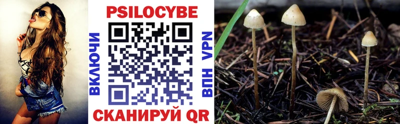 Купить где  Верхний Тагил  Галлюциногенные грибы прущие грибы 