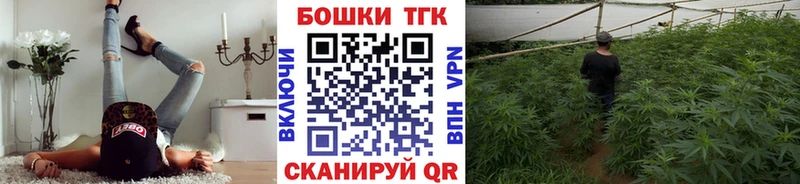 Шишки марихуана THC 21%  Купить закладки  Верхний Тагил 